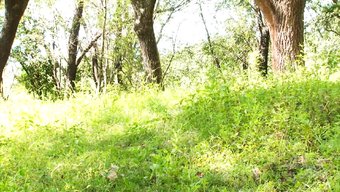 Mia Su Sporları: Idrar Ve Su Sporları Videosu